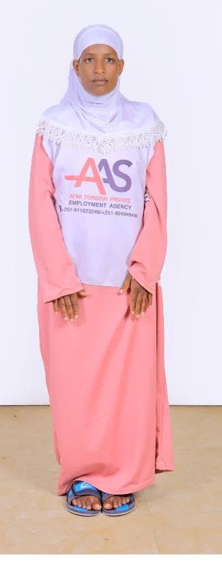 slide-2, House Maid , Ethiopia , House keeping , Babysitter , ironing